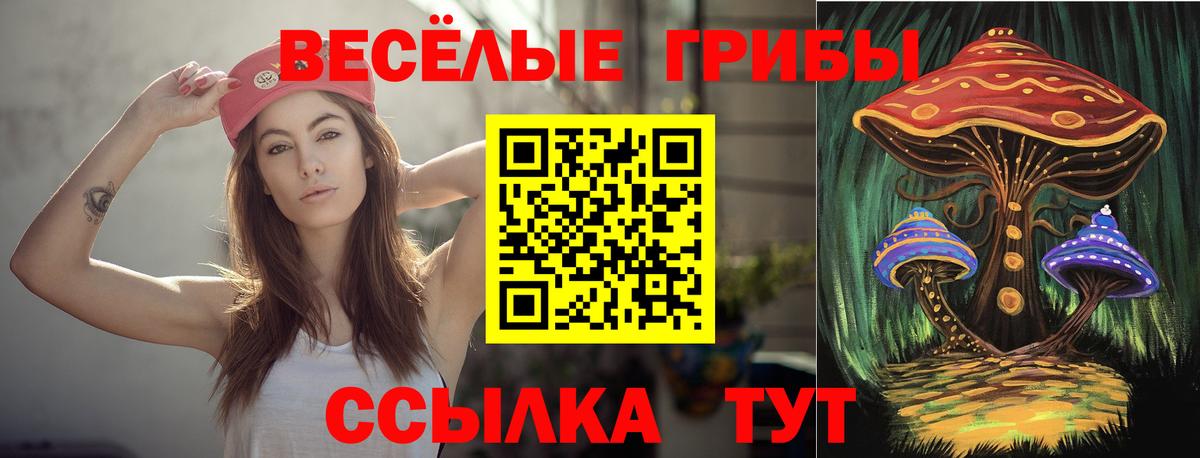 Псилоцибиновые грибы Psilocybine cubensis  Галлюциногенные грибы MAGIC MUSHROOMS  Стрежевой  Вход с VPN 