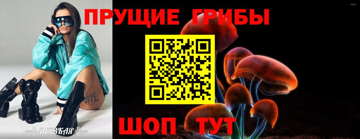 Псилоцибиновые грибы Cubensis Стрежевой